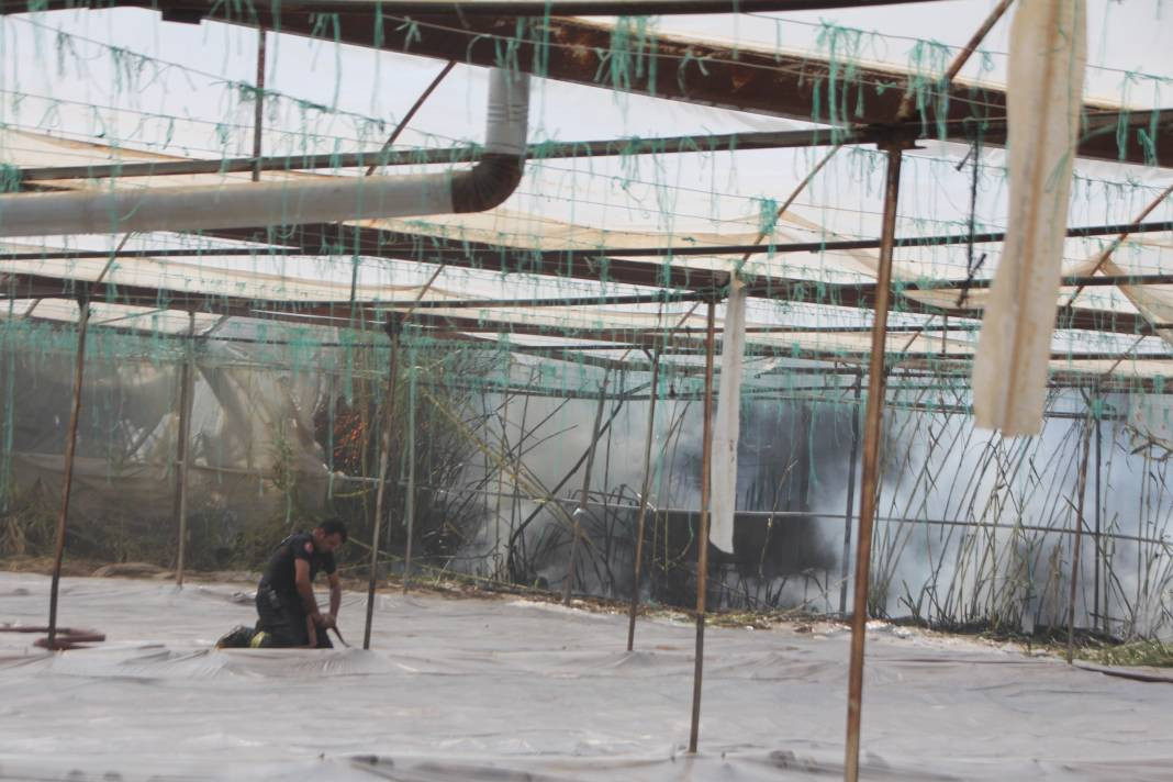 Otluk alanda başladı orman ve seralara sıçradı - Resim: 19